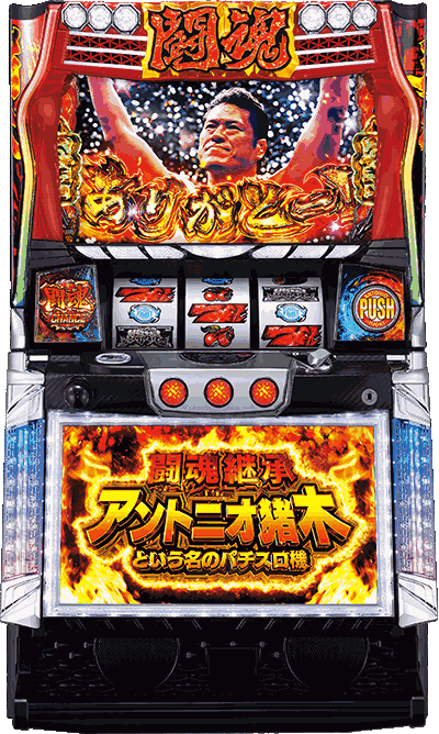 �����p�� �A���g�j�I���؂Ƃ������̃p�`�X���@��ʐ^