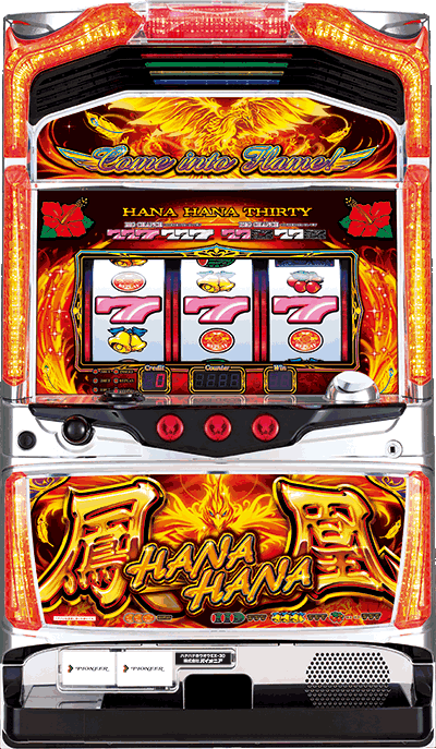 �n�i�n�i�z�E�I�E-30��ʐ^