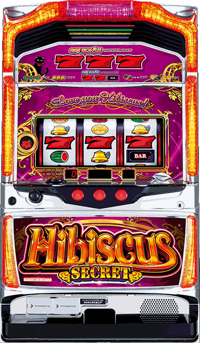 �V�[�N���b�g�n�C�r�X�J�X��ʐ^