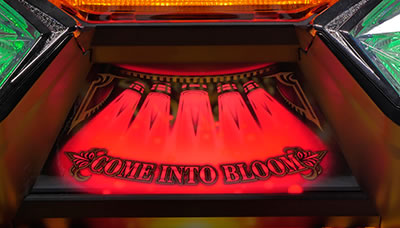 �v���~�A���n�i�n�i-30