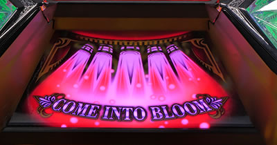 �v���~�A���n�i�n�i-30