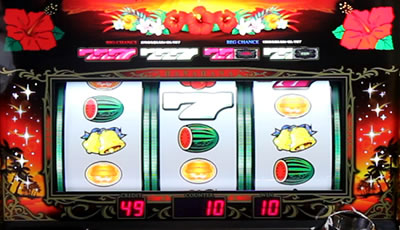 ニューハナハナゴールド-30