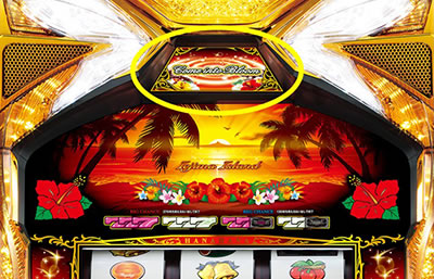 ニューハナハナゴールド-30