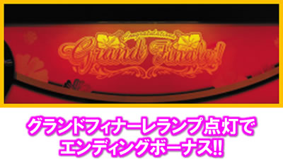 �X�[�p�[�n�i�n�i 25��30