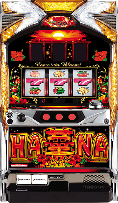 �X�[�p�[�n�i�n�i2-30��ʐ^