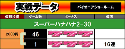 �X�[�p�[�n�i�n�i2-30