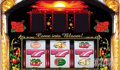 �X�[�p�[�n�i�n�i2-30