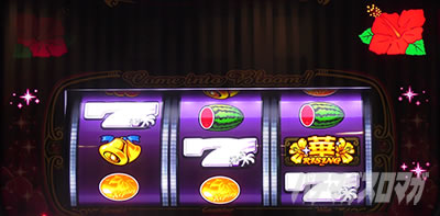 �X�[�n�i���C�W���O30