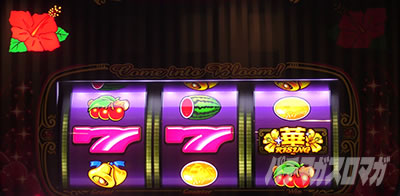 �X�[�n�i���C�W���O30