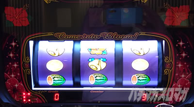 �X�[�n�i���C�W���O30