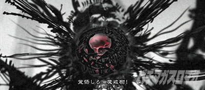 S��T�|�����R�m�|