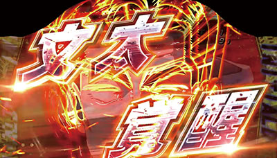 �p�`�X��������D