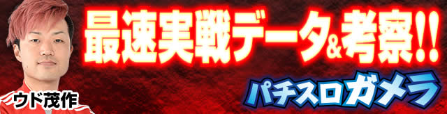 �ő�����f�[�^���l�@