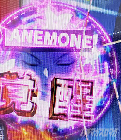 �p�`�X��ANEMONE �������уG�E���J�Z�u�� HI-EVOLUTION