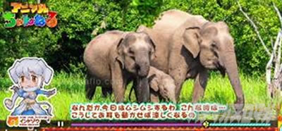 �ς����� �����̃t�����Y