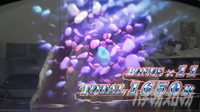 �p�`�X���b�S��̃J�o�l��