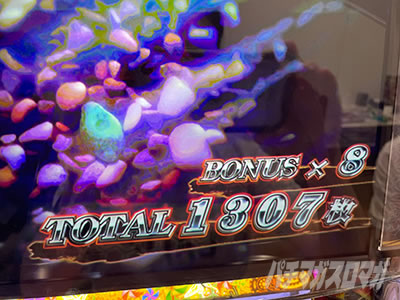 �p�`�X���b�S��̃J�o�l��