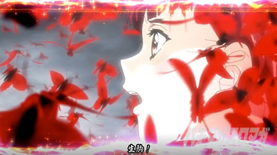 �p�`�X���b�S��̃J�o�l��