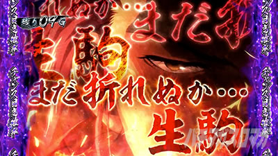 �p�`�X���b�S��̃J�o�l��