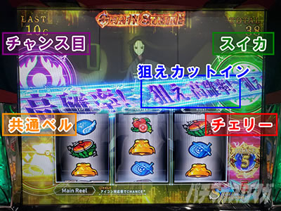 �p�`�X�����̗E�҂̐���オ��