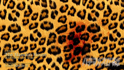 �X�}�X���o�C�I�n�U�[�h���F���f�b�^