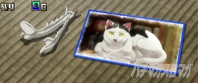 �X�}�X�� �S�[���f���J���C