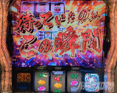 L�p�`�X����P�⏥�V���t�H�M�A ���`�̉�