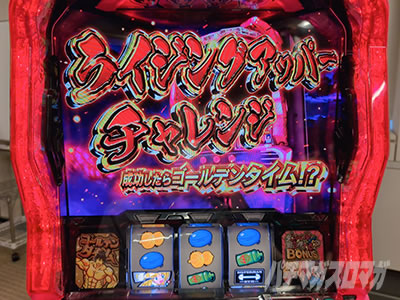 L�p�`�X���_���x�����L�����Ă�H