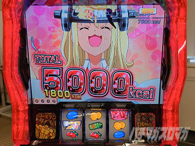 L�p�`�X���_���x�����L�����Ă�H