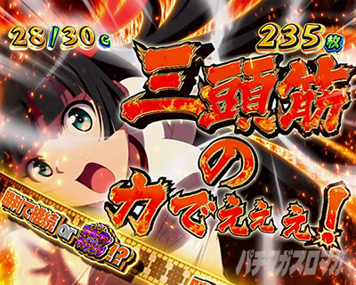 L�p�`�X���_���x�����L�����Ă�H