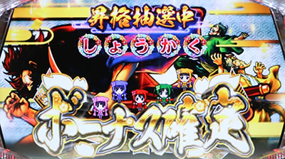 �V���z��4