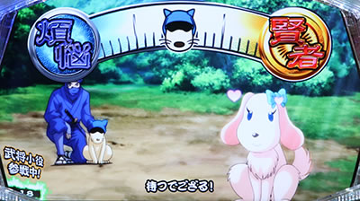 �V���z��4