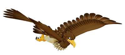 �p�`�X�� �P���b�g4