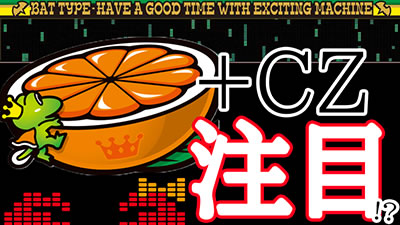 �X�}�X���L���O�p���T�[