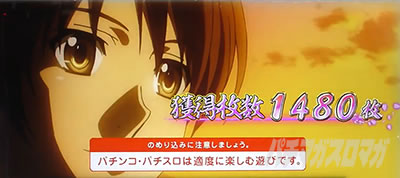 S�D�c�M�ނ̖�]�S����