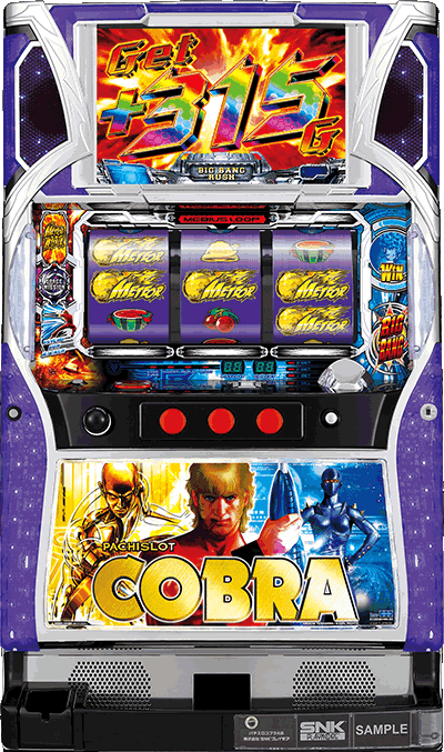 �p�`�X���R�u����ʐ^