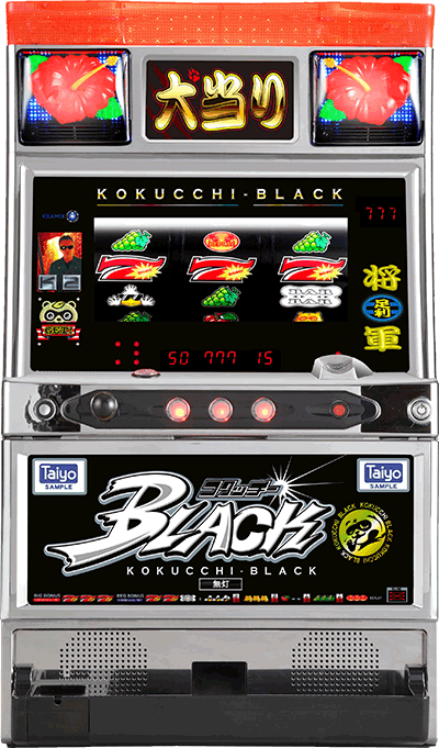 �R�N�b�`�[�u���b�N��ʐ^