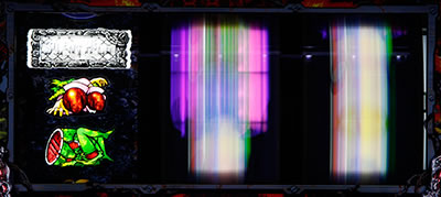 �T�C�����g�q��