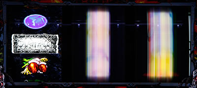 �T�C�����g�q��