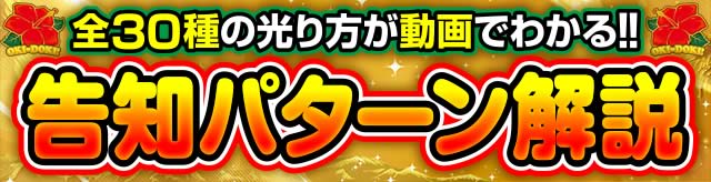 ���m�p�^�[���������