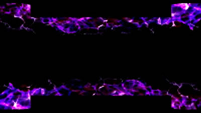 �p�`�X���S��4�f�r��Ver.