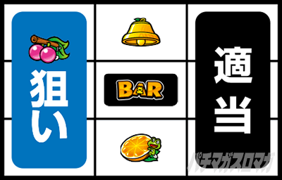 �X�^�[�p���T�[