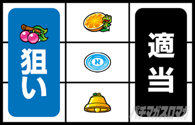 �X�^�[�p���T�[