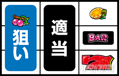 �X�^�[�p���T�[