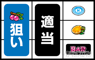 �X�^�[�p���T�[