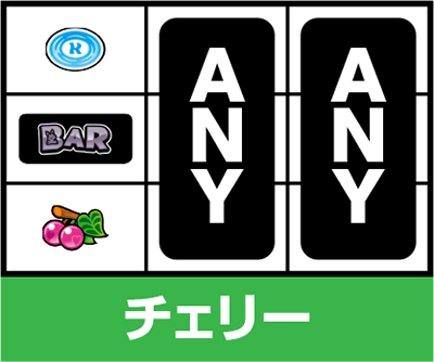 �X�^�[�p���T�[