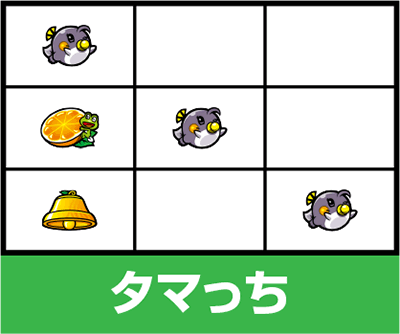 �X�^�[�p���T�[