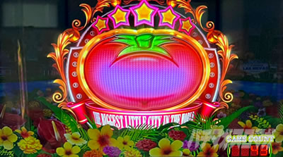 �X�}�X�� ���m�w�u��