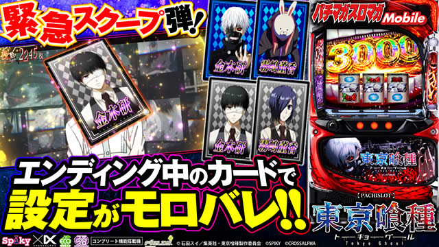 L�������@�G���f�B���O�J�[�h����